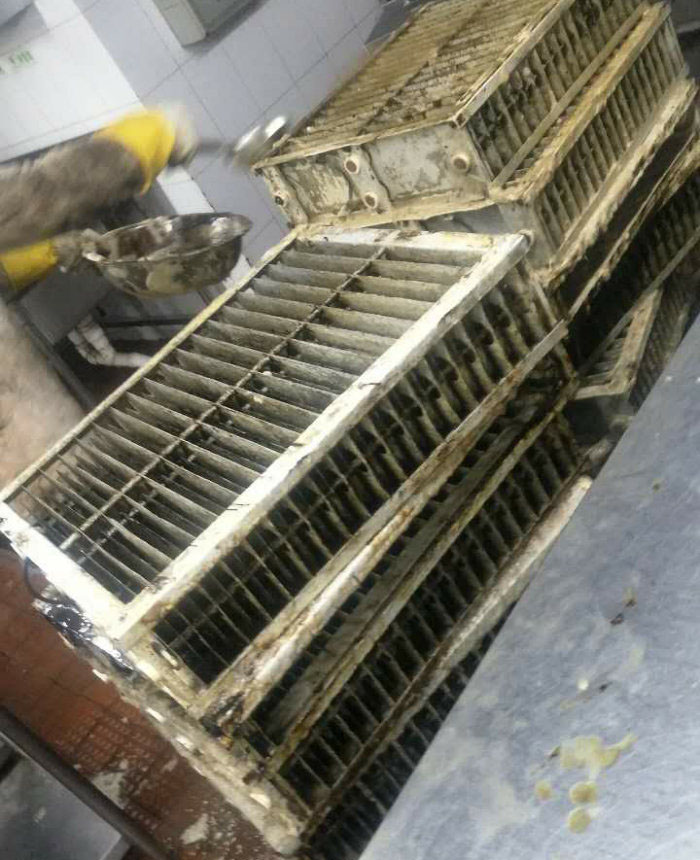 凈化器、靜電處理器清潔